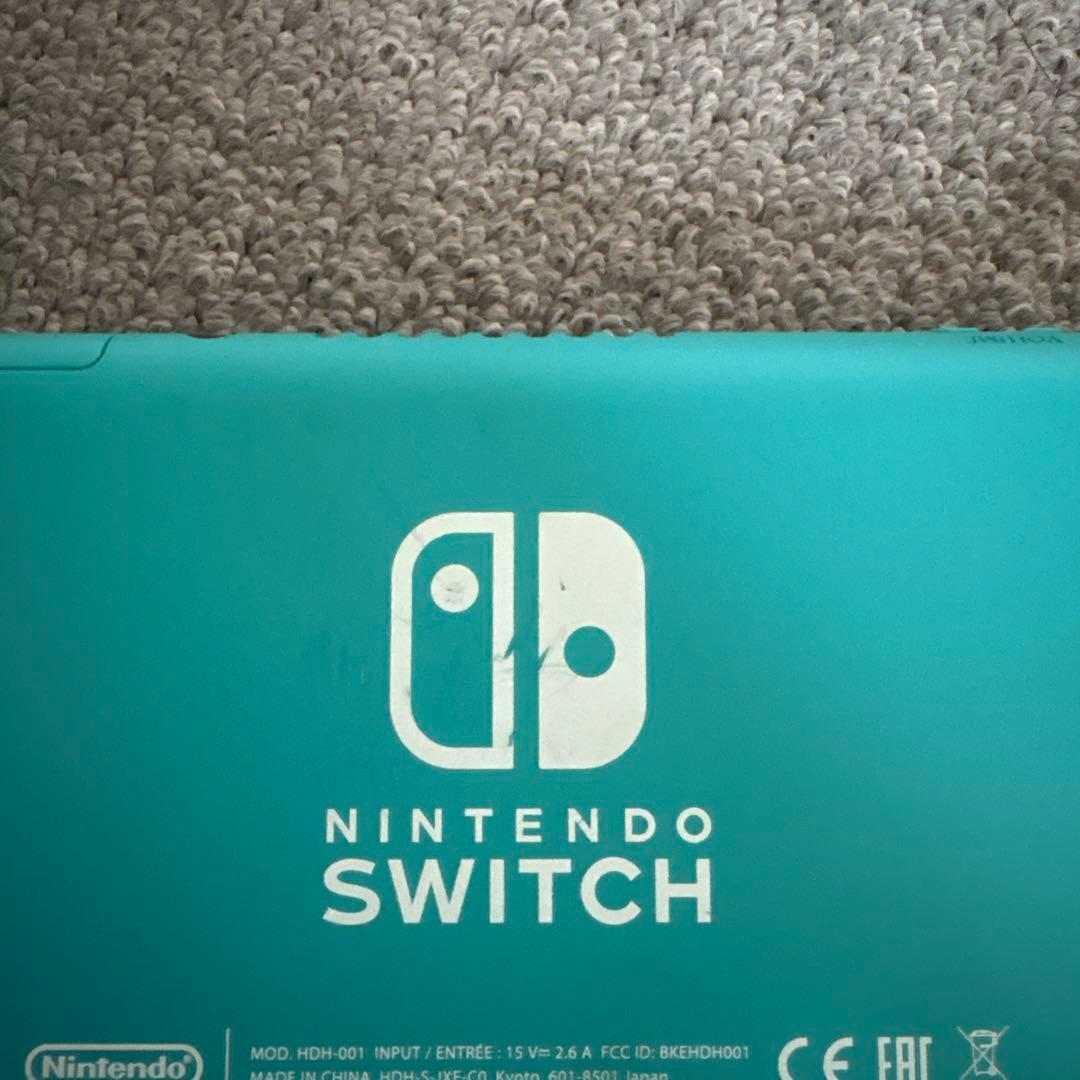 Nintendo Switch Lite 本体と充電器のみ