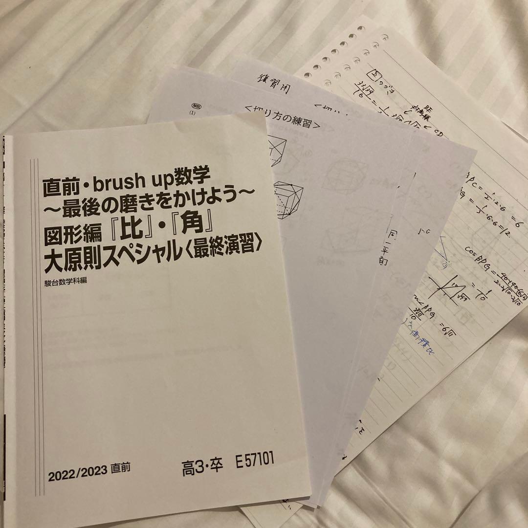 駿台　直前brush up 数学　図形編　「比」「角」大原則スペシャルテキスト