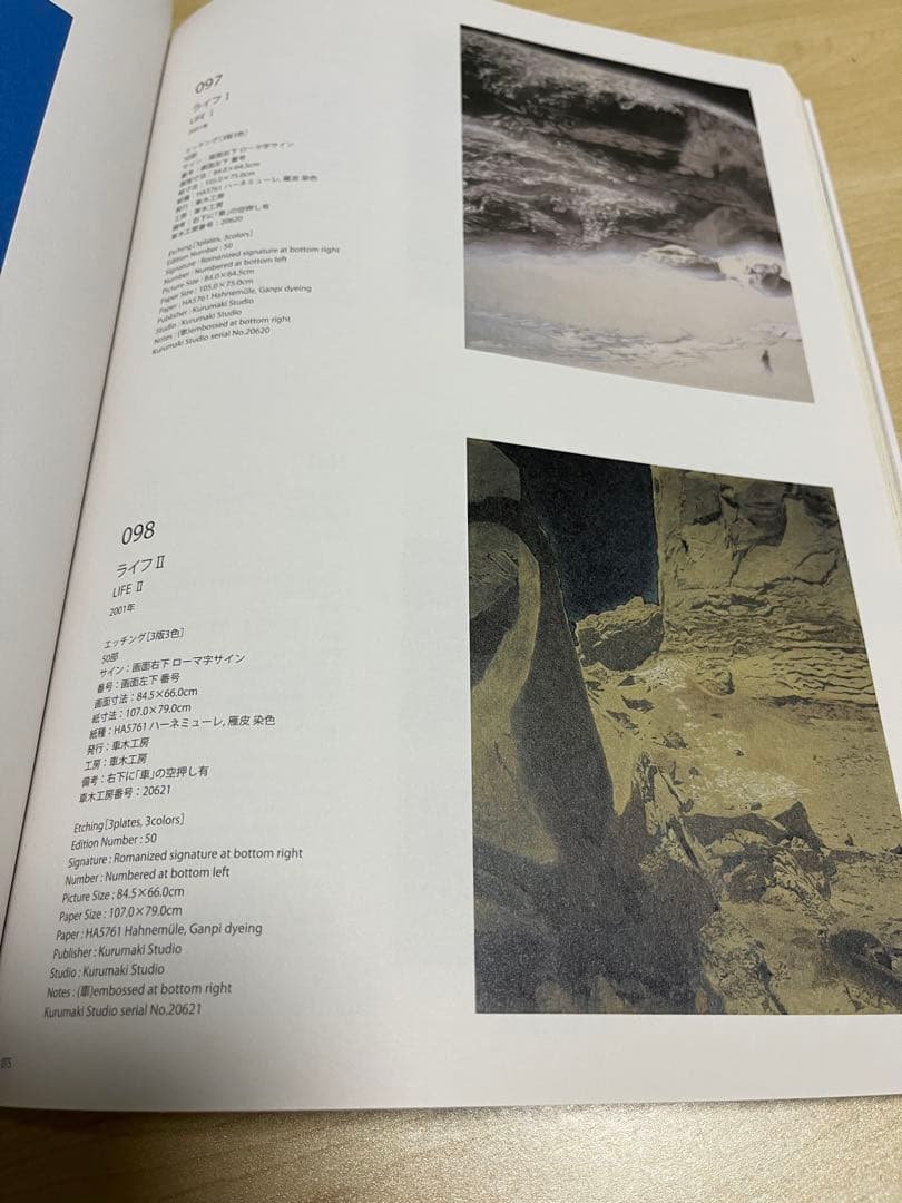 千住博 全版画 カタログレゾネ 1988-2015