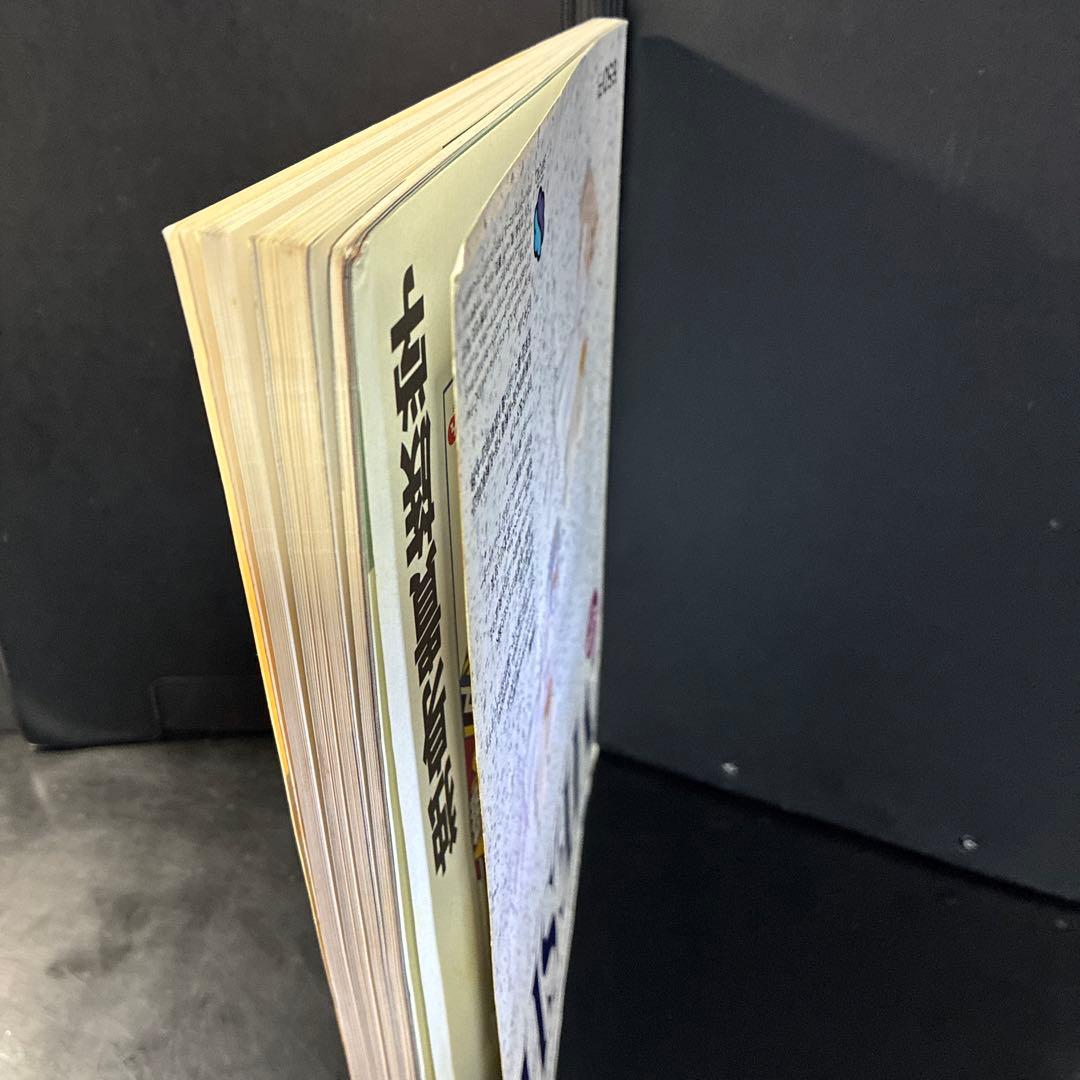 さっぽろタウン情報 別冊 MESH メッシュ 札幌ファッションマップ