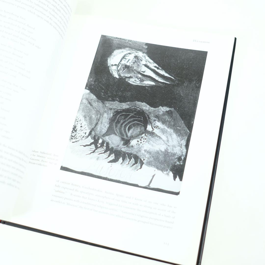 BACON AND SUTHERLAND Martin Hammer 洋書　画集