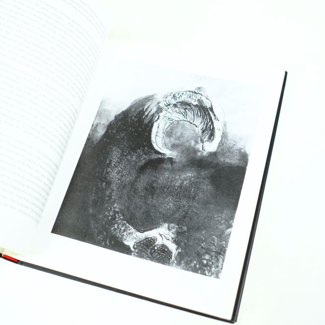 BACON AND SUTHERLAND Martin Hammer 洋書　画集