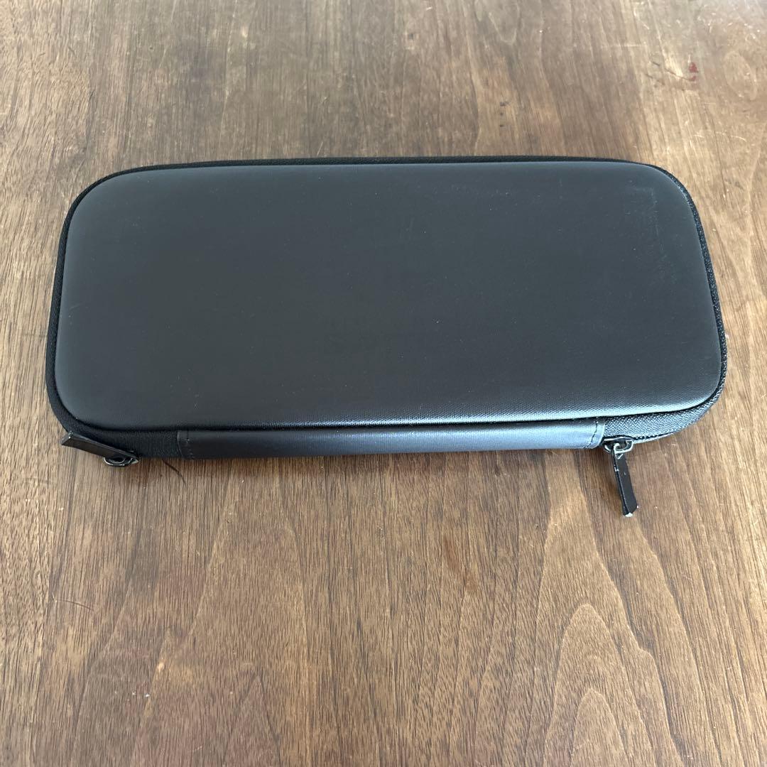 Nintendo Switch Lite グレー ケース付き　スイッチライト