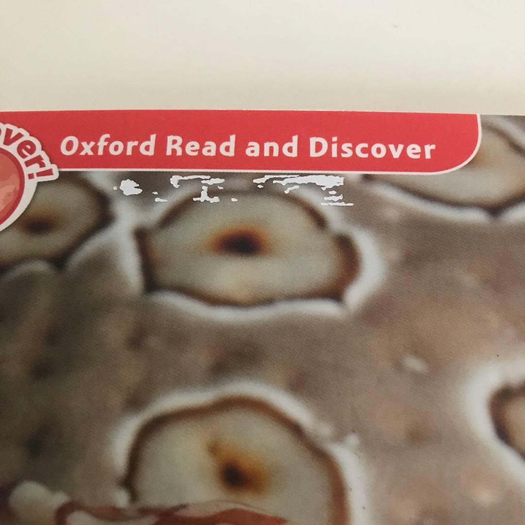 くもん イーペンシル