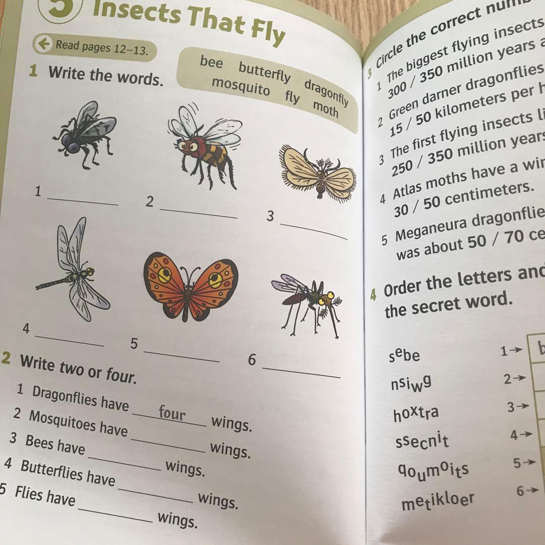 くもん イーペンシル