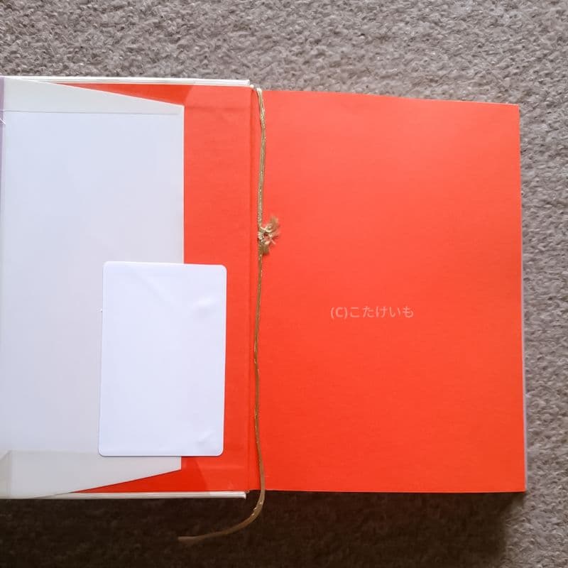 宝石 ジェモロジー 崎川顕行著　訳あり注意　クロネコメール便にて発送　送料込み