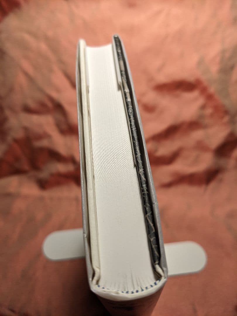 新品未使用品　絶版　半透明の美学　岡田温司　岩波書店