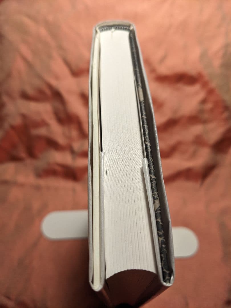 新品未使用品　絶版　半透明の美学　岡田温司　岩波書店