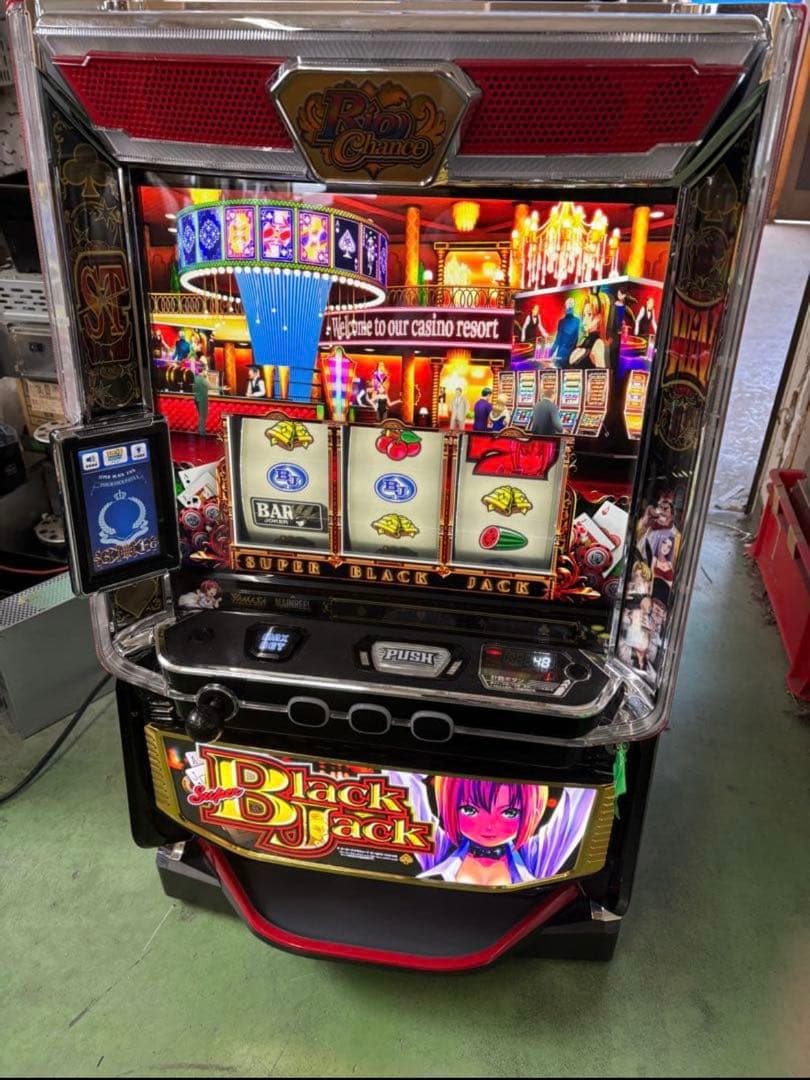 ＬスーパーブラックジャックＳＬＤＣ　DCユニット　IPS スイッチ　引き渡し