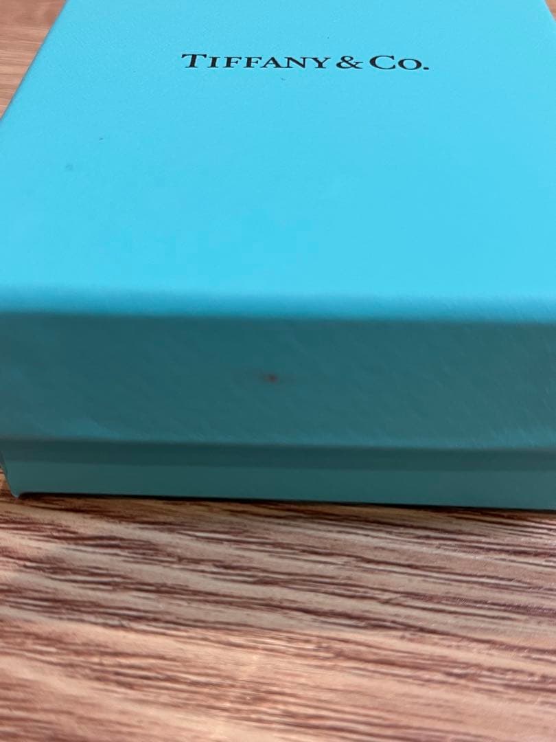 m*o様 Tiffany & Co. シンプルネックレス