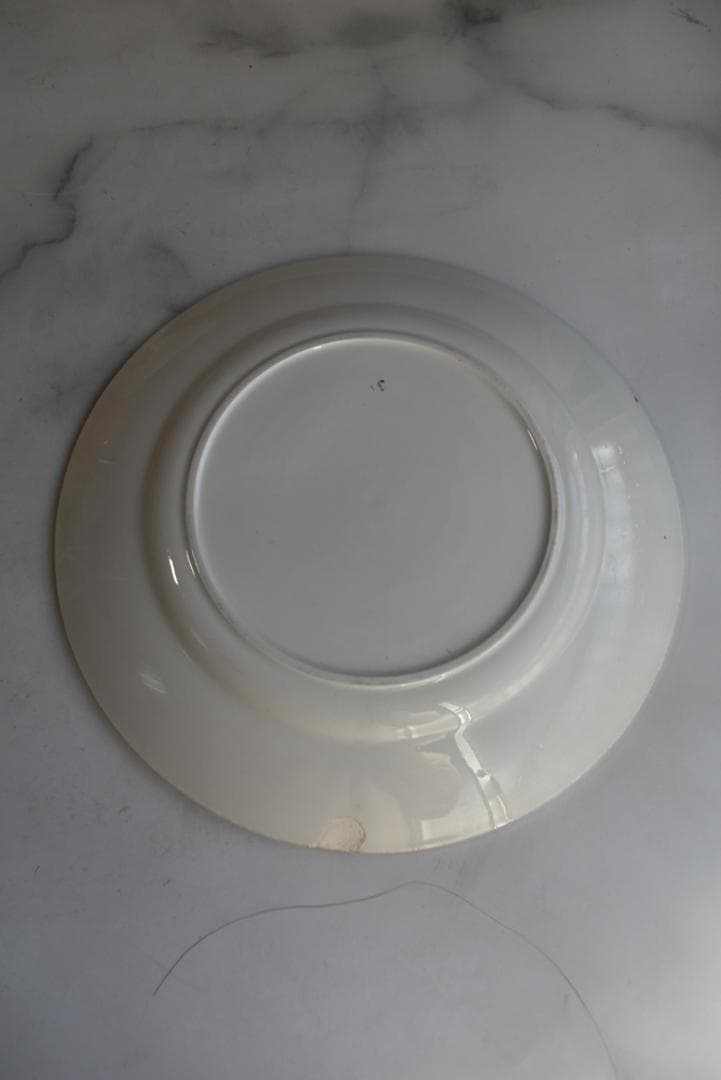 2枚セット　バドンヴィレー　バスク皿　Badonvillerフランスアンティーク