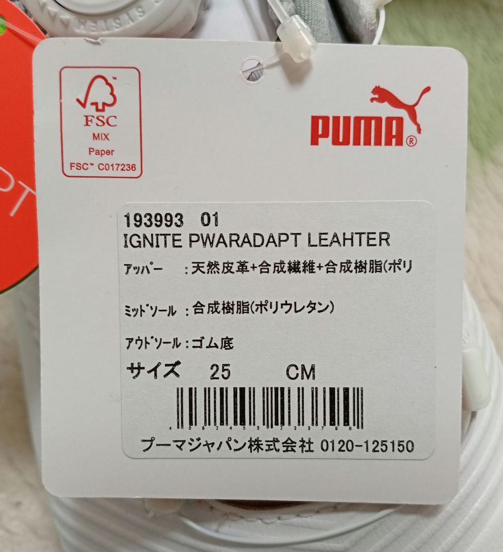 プーマ ゴルフシューズ　IGNITE　25.0㎝