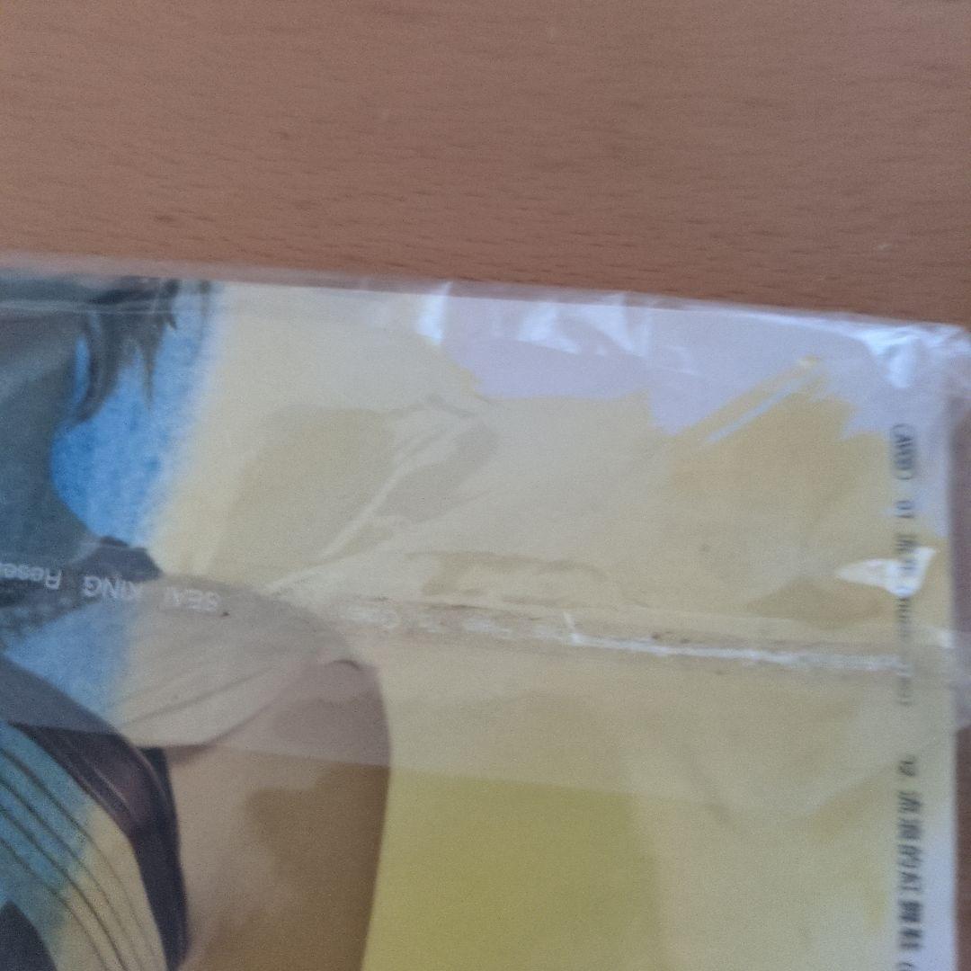 特典AVCD付き CD 流年・流浪的紅舞鞋　王菲　フェイウォン