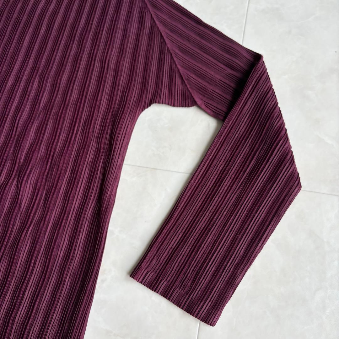 希少色✨ プリーツプリーズ タートル長袖プリーツトップ ワイン 3 日本製 伸縮
