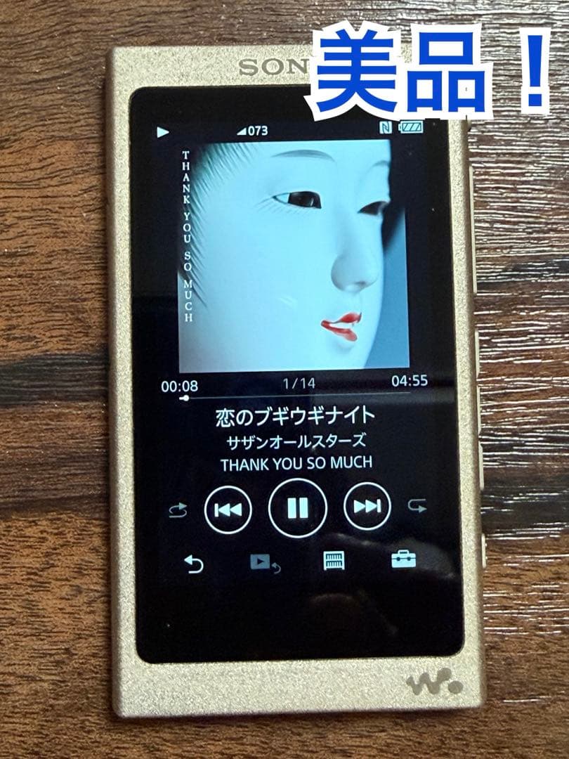 美品！バッテリ良好ソニー ウォークマン NW-A45 16GBシャンパンゴールド