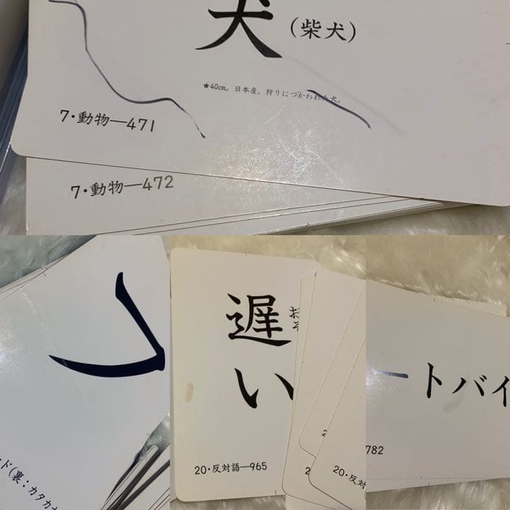 家庭保育園 教材 絵カード1500枚 CD10枚 セット