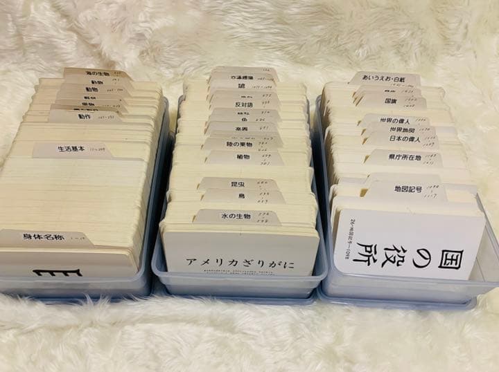 家庭保育園 教材 絵カード1500枚 CD10枚 セット