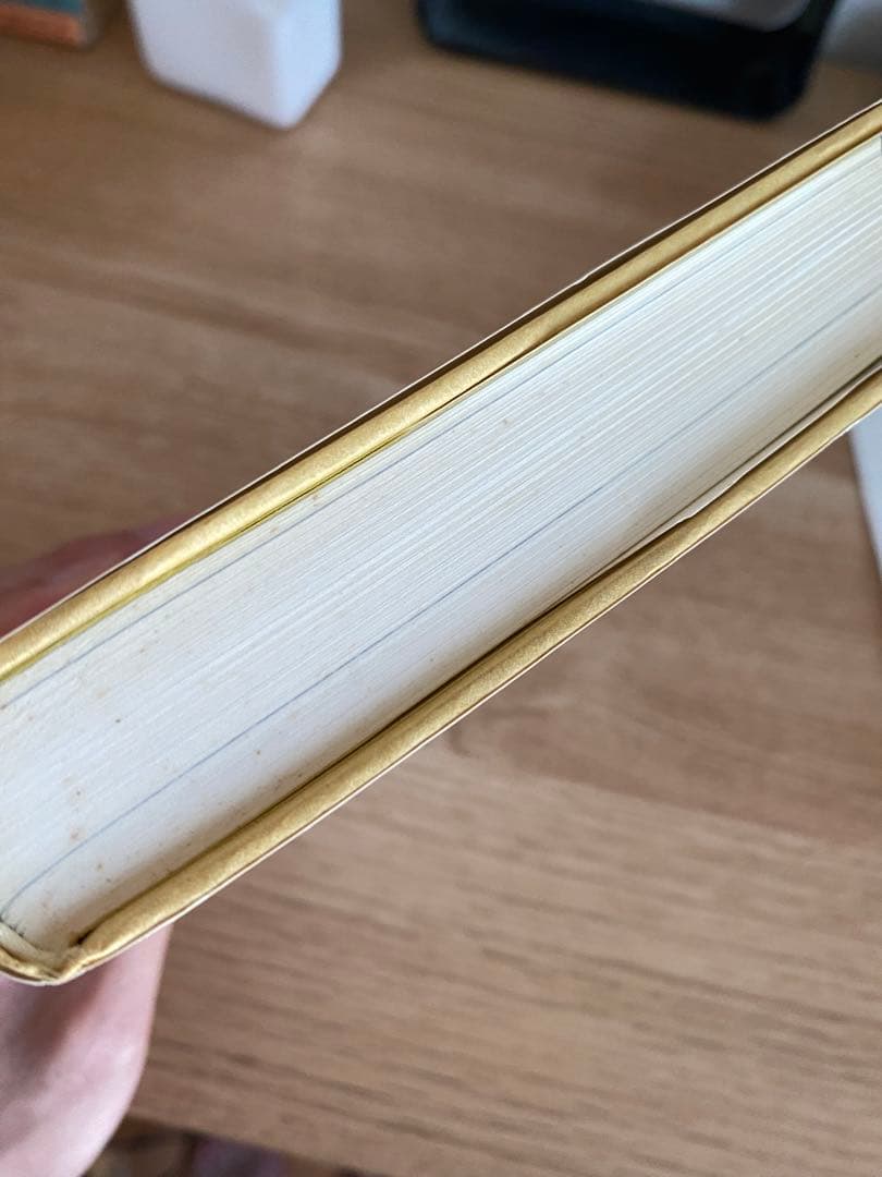 チベット仏教　菩薩道を生きる　西村香　訳