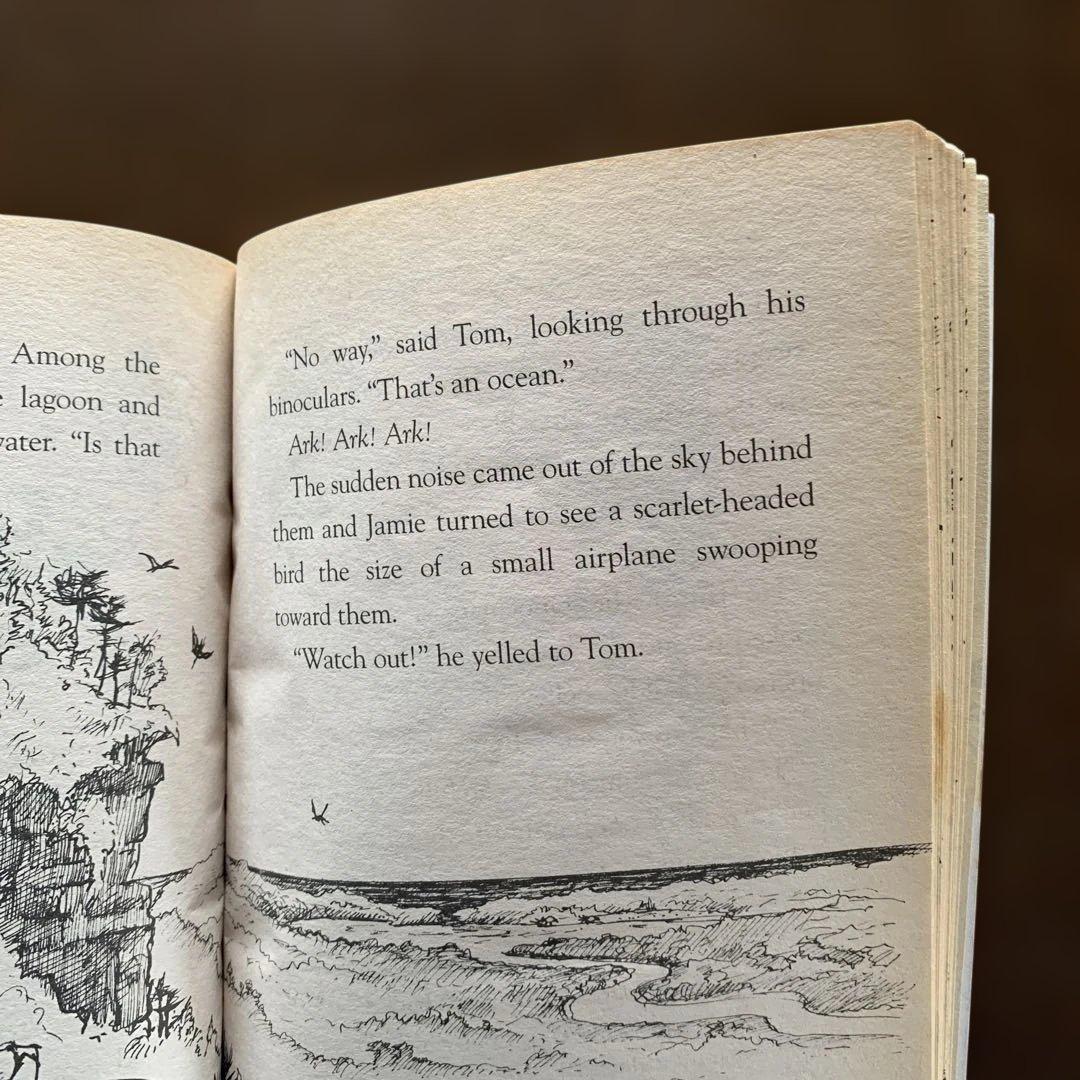 Scholastic DINOSAUR COVE #1 2 4 3冊セット