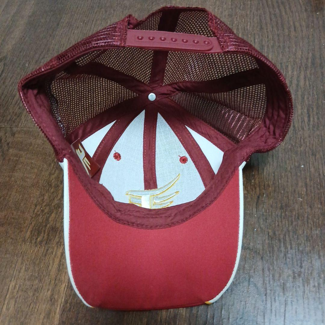 楽天イーグルス スプリングキャンプ2012年レプリカキャップ 直筆サイン入り