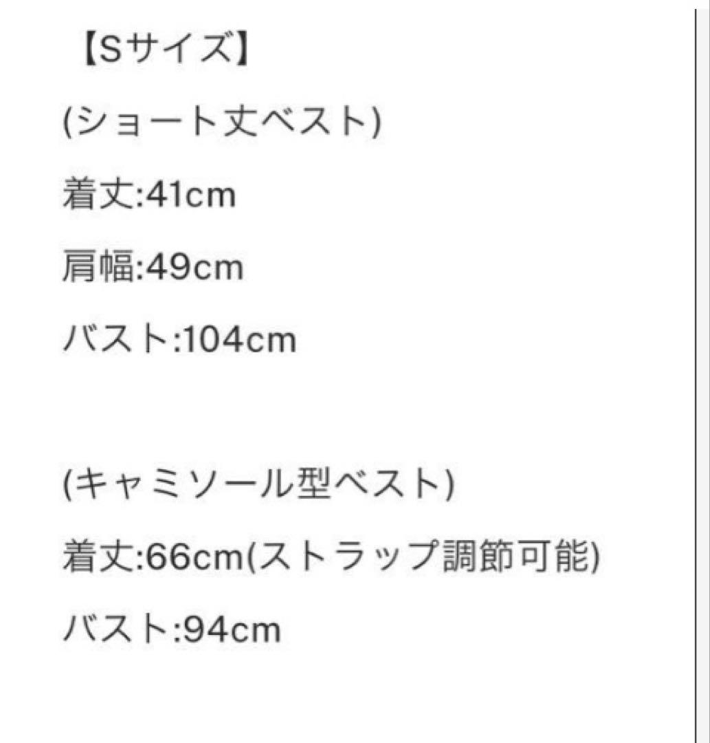 ameri 3WAY PIN TUCK LAYERED VEST2点SET❣️