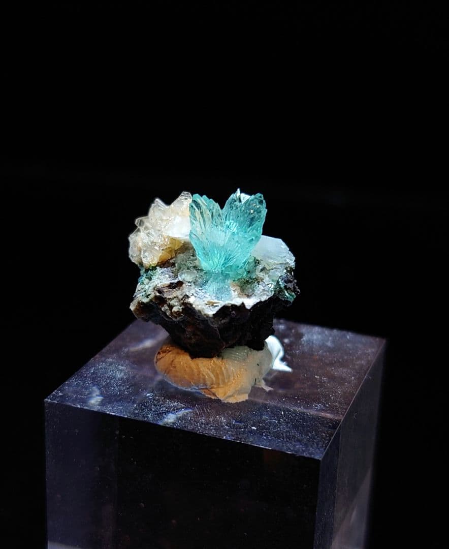 アポフィライト インド産 母岩付き 鉱石 鉱物 ミネラル 標本 原石 犬牙状 ④