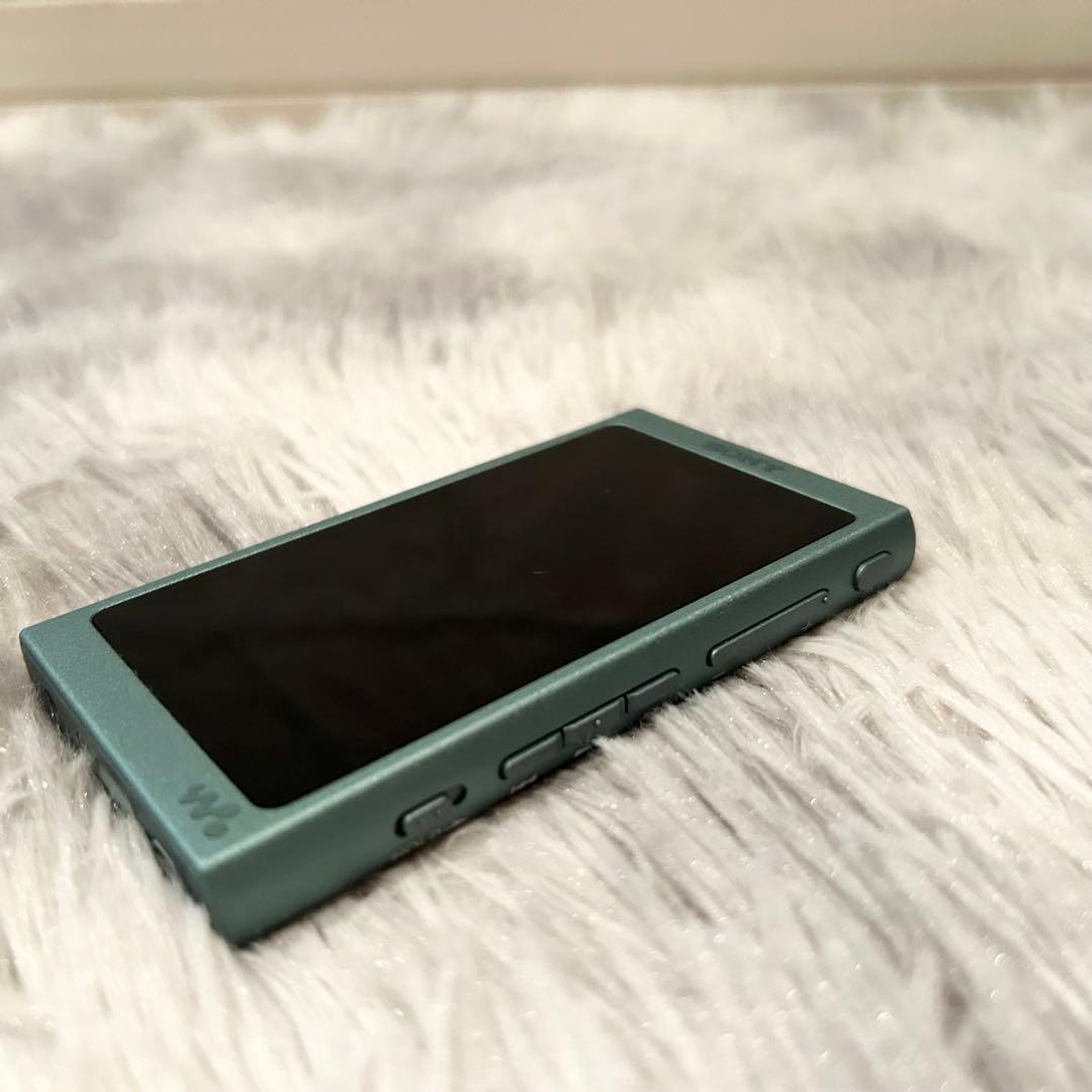 【極美品】 ソニー ウォークマン Aシリーズ NW-A45HN 　SONY