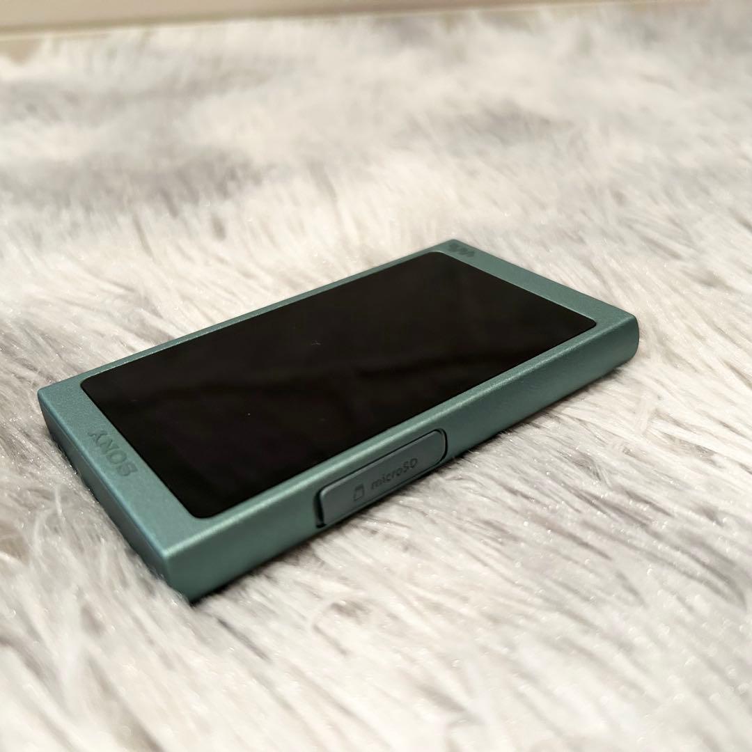 【極美品】 ソニー ウォークマン Aシリーズ NW-A45HN 　SONY