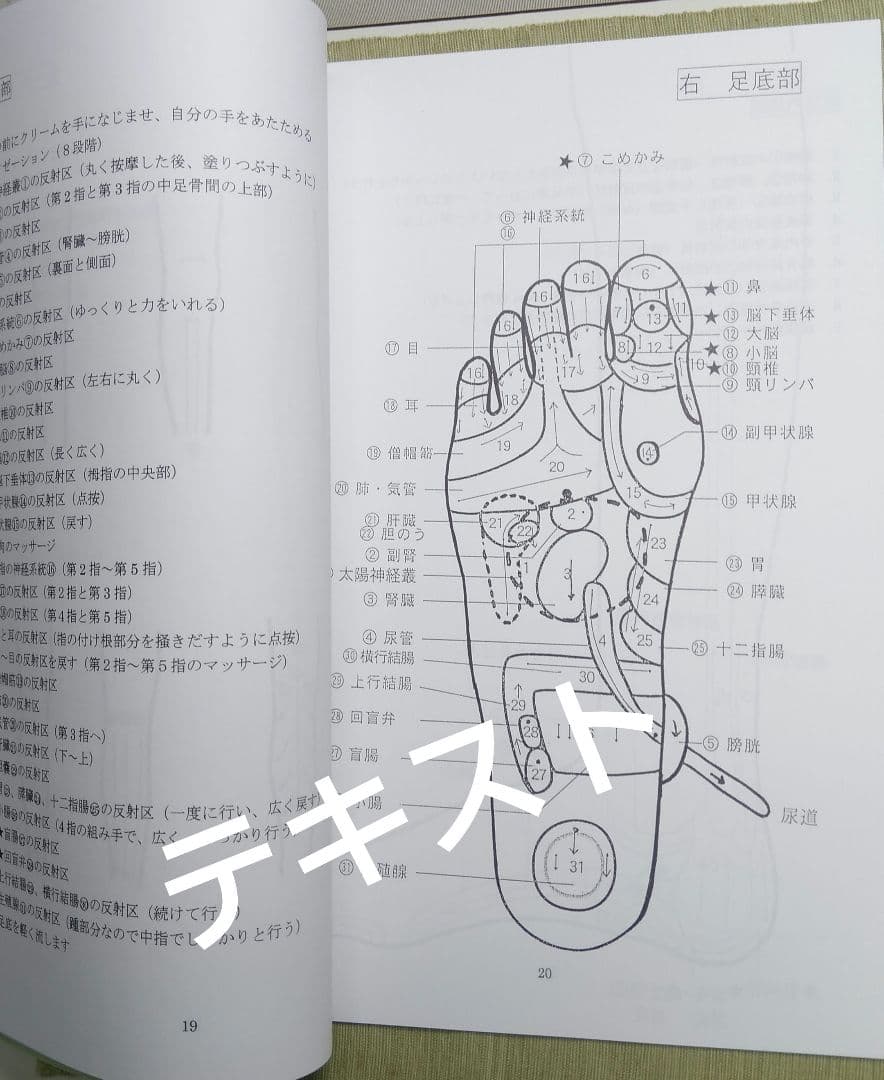 A5：足つぼ 学ぶ（DVD足部反射療法2級上編）+テキスト+チャートset