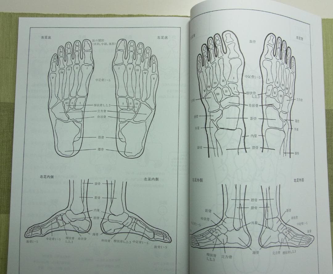 A5：足つぼ 学ぶ（DVD足部反射療法2級上編）+テキスト+チャートset