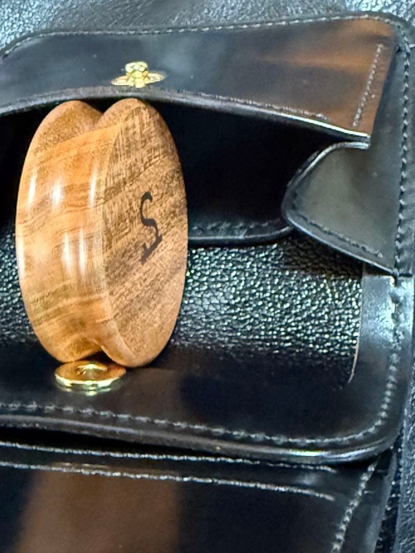 ワイルドスワンズ　vision