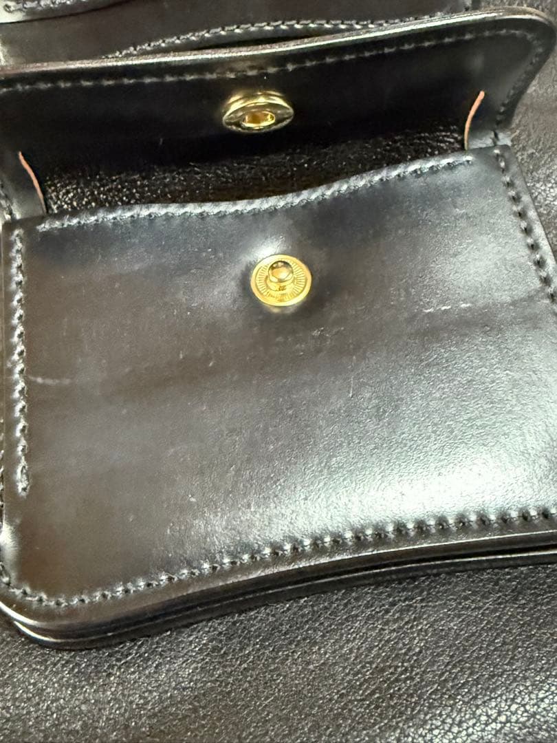 ワイルドスワンズ　vision