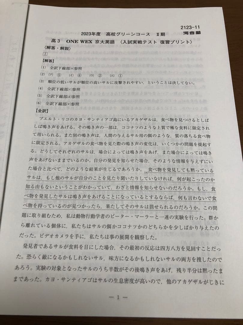 河合塾　2023高校グリーンコース 高3 ONE WEX 京大英語　1年分セット
