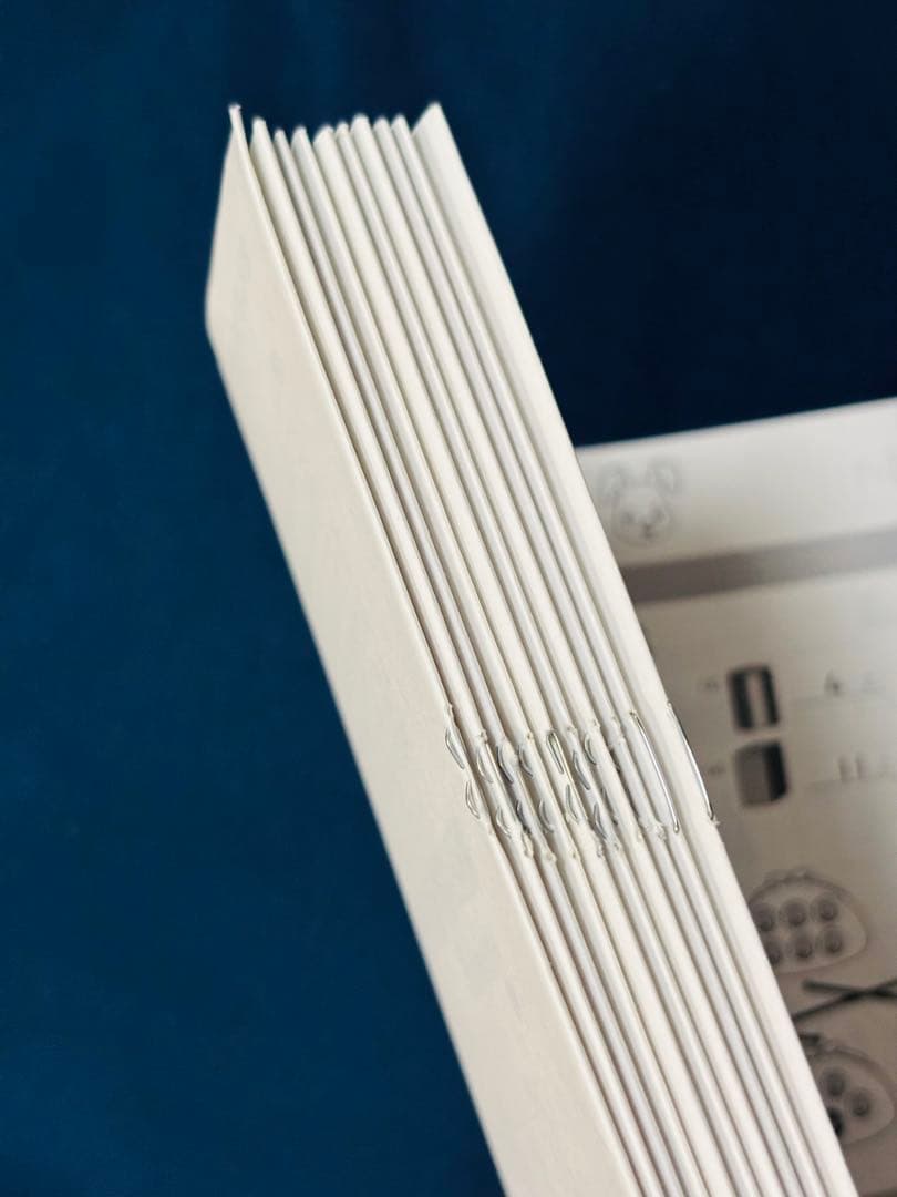 しちだ式 小学生プリント 1年生 思考力 こくご さんすう 七田式 入学準備