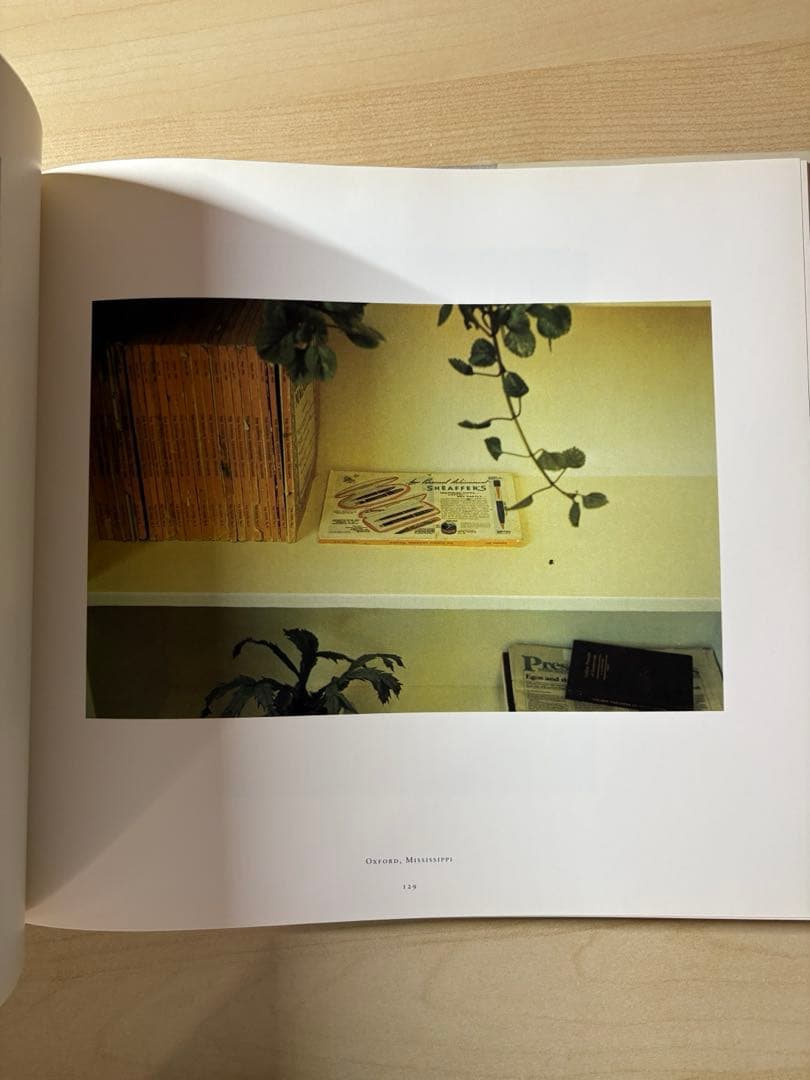 アート・デザイン・音楽 William Eggleston The Democratic Forest
