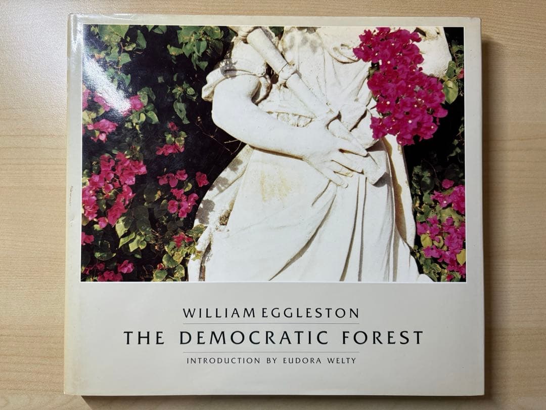アート・デザイン・音楽 William Eggleston The Democratic Forest