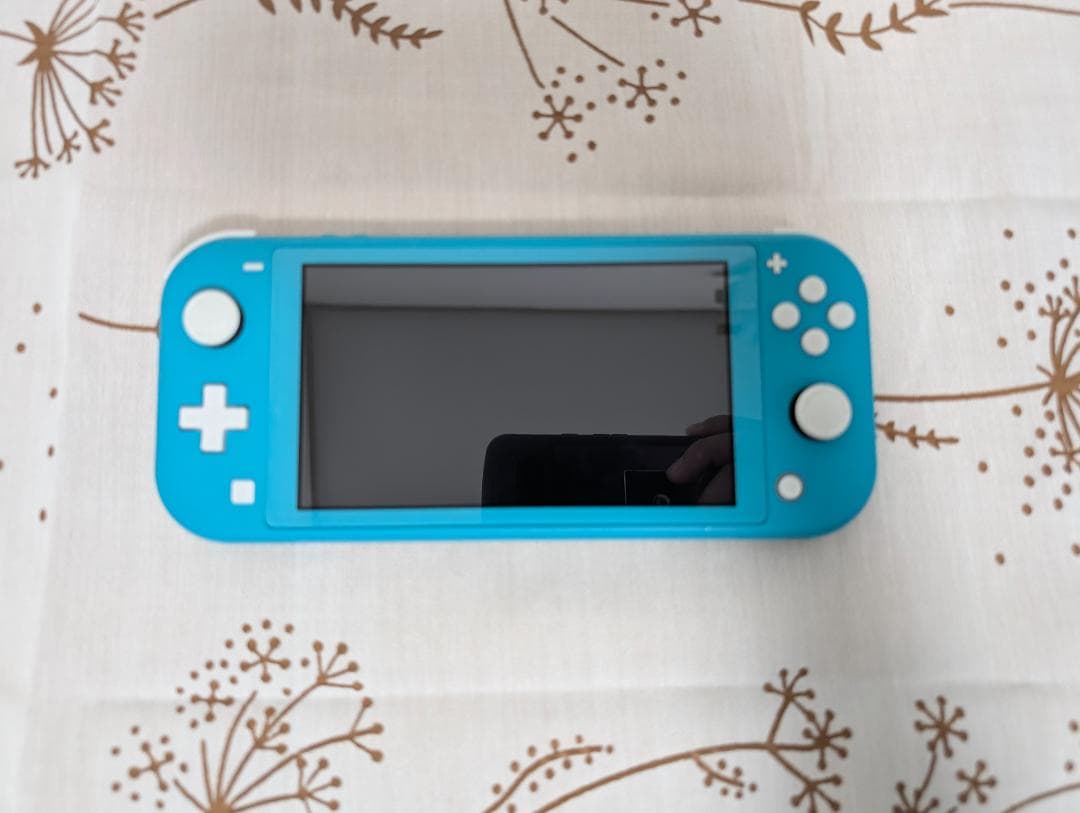 d*a様 【switch本体＋ソフト】任天堂 Switch Lite ターコイズ