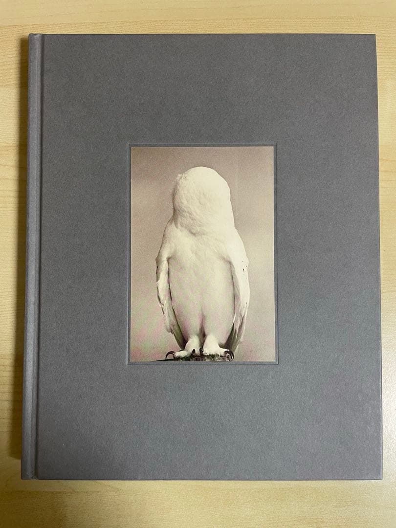 アート・デザイン・音楽 Masao Yamamoto Tori signed