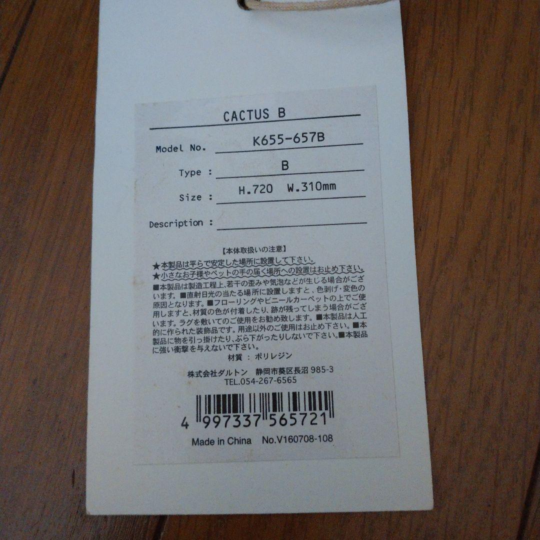 DULTON サボテンの置物 [H.720 W.310mm]