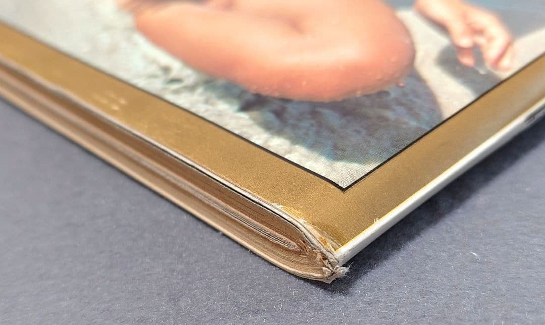 週刊プレイボーイ1976年32号アグネスラム水木しげる特別読切スパイダーマン読切