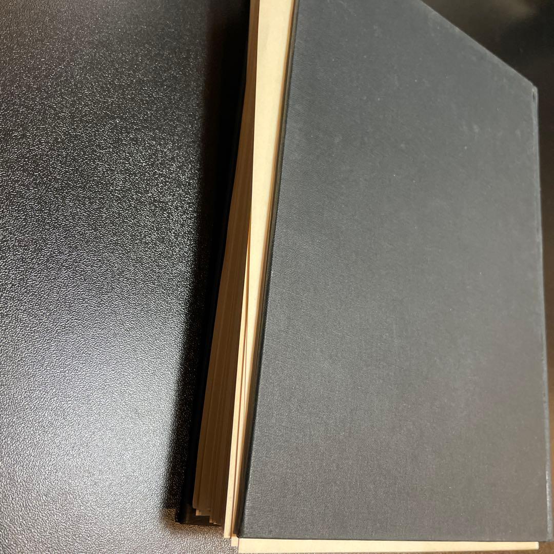 裁断済み。精神病理総論 下巻 岩波書店