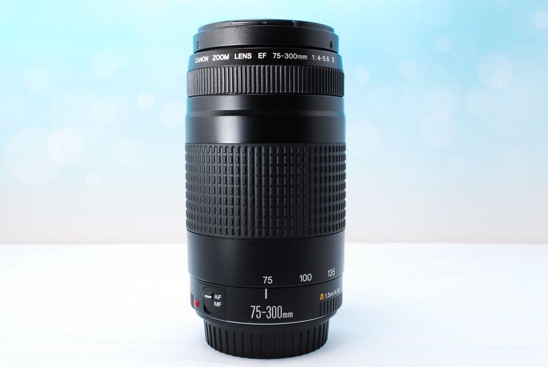 Canon EF 75-300mm F4-5.6 II 超望遠レンズ キヤノン