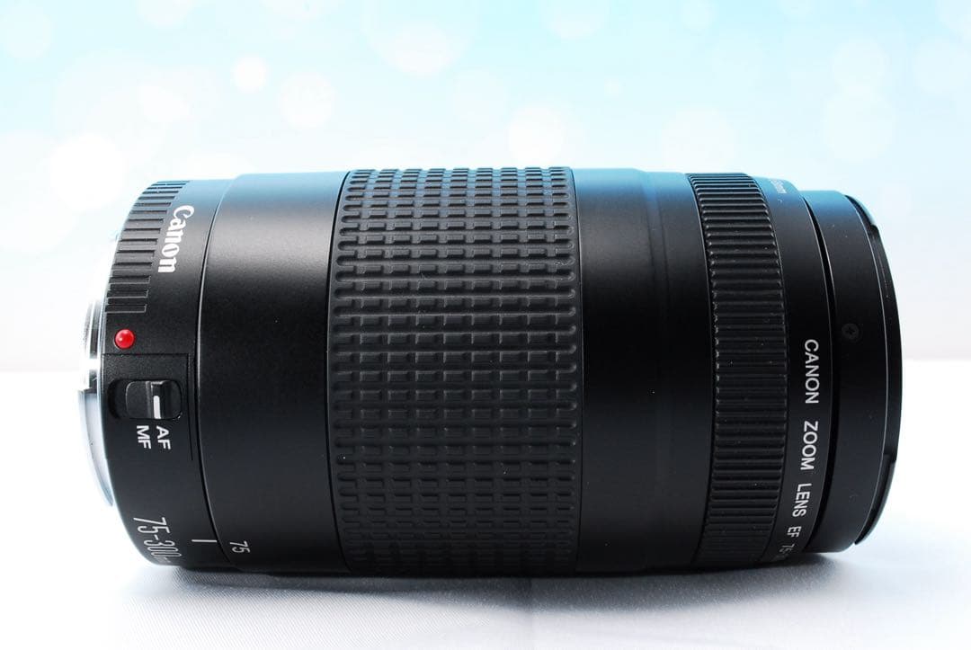 Canon EF 75-300mm F4-5.6 II 超望遠レンズ キヤノン