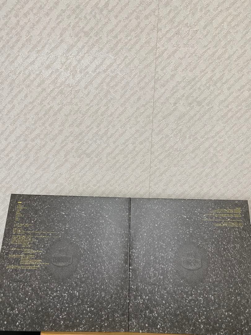 【美品】kinggnuCEREMONY アナログ盤