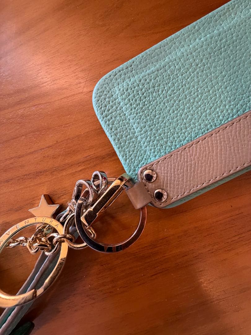 BONAVENTURA ハンドル付きバックカバーケース　iPhone16Pro