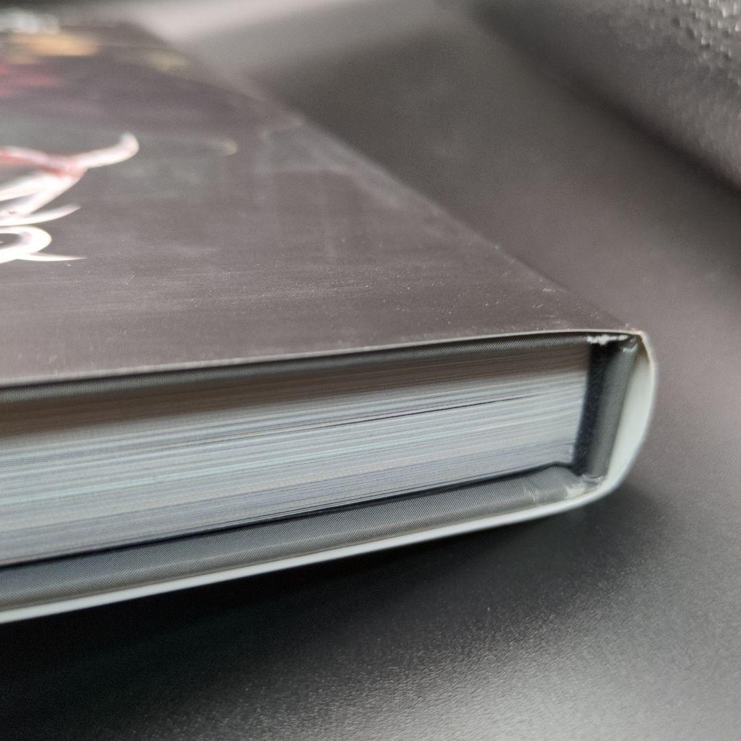 初版 帯付き アートオブアリスマッドネスリターンズ　設定画集 日本語版