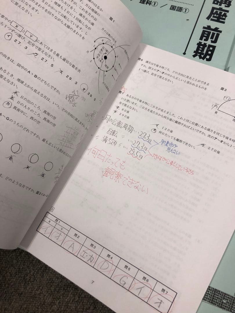 早稲田アカデミーNN早稲田　日特/前期後期/夏期/正月/副教材2024