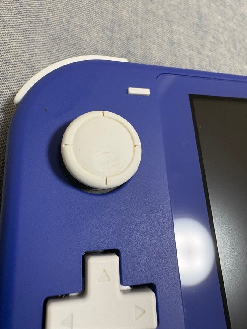 Nintendo Switch Lite ブルー　本体(+ケース+おまけ)