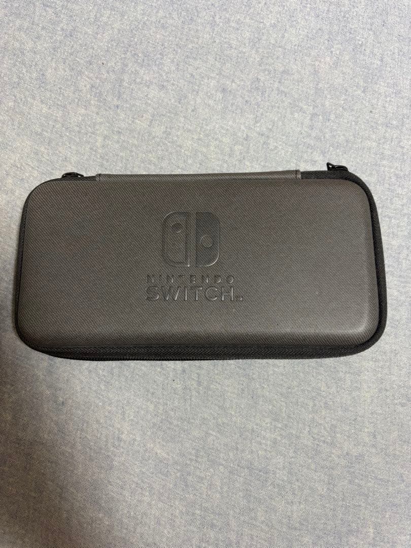 Nintendo Switch Lite ブルー　本体(+ケース+おまけ)