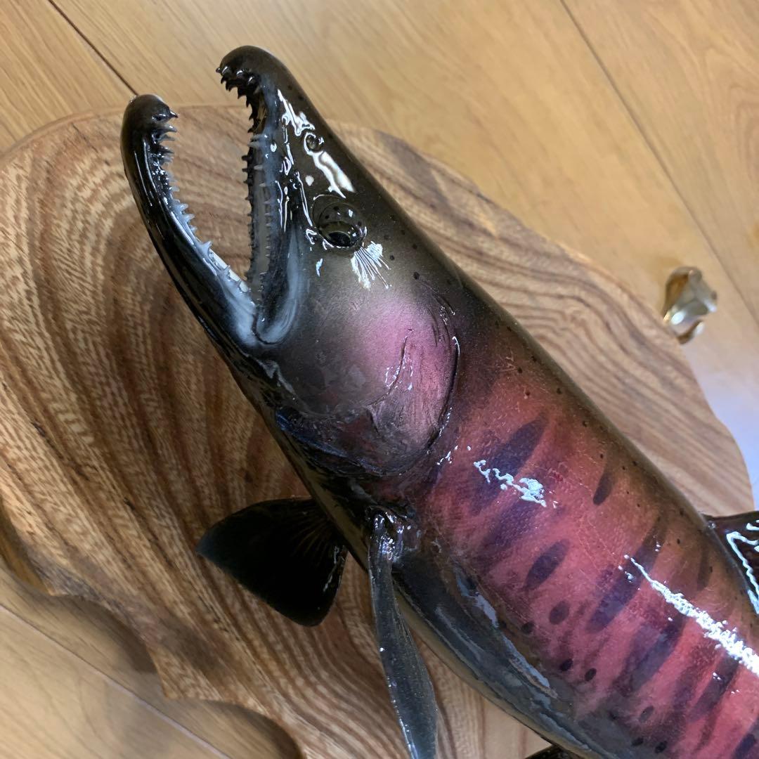 剥製エフクラフト　最終形態鼻曲がり雄43センチパーマーク